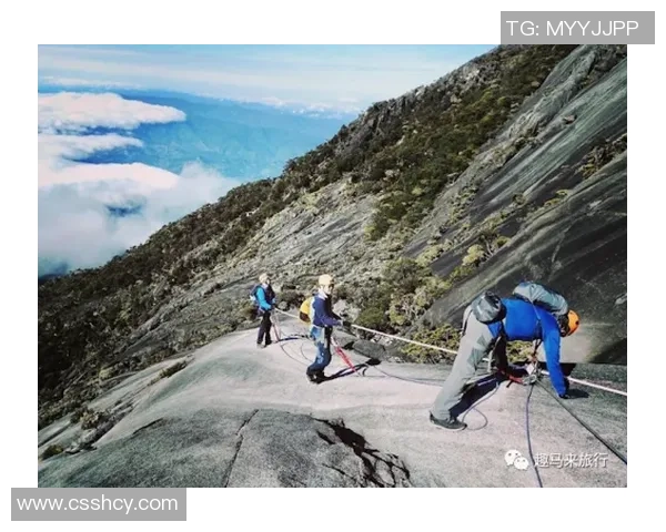 重庆极限运动队的心理素质探讨与挑战应对策略分析